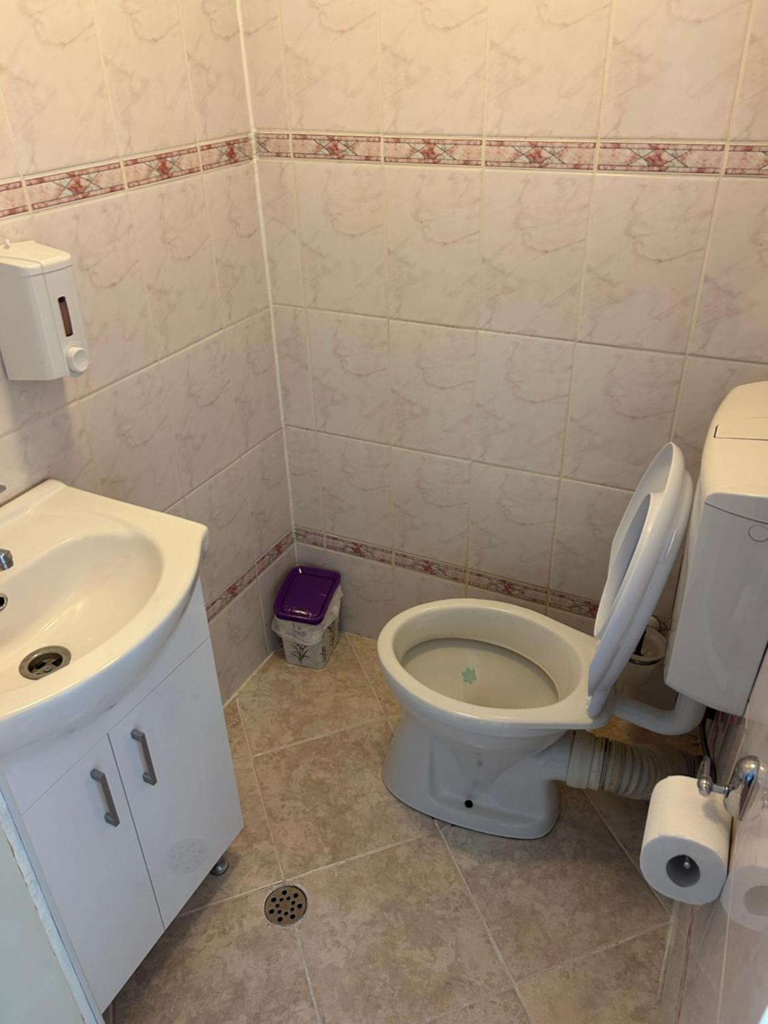 Bivolul Negru Apartment Blaj Ngoại thất bức ảnh